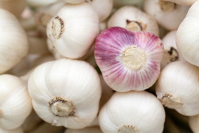 Garlic – Nature’s Antibiotic and more